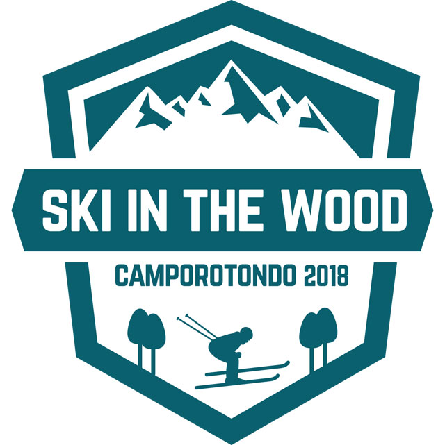 Ski in the wood